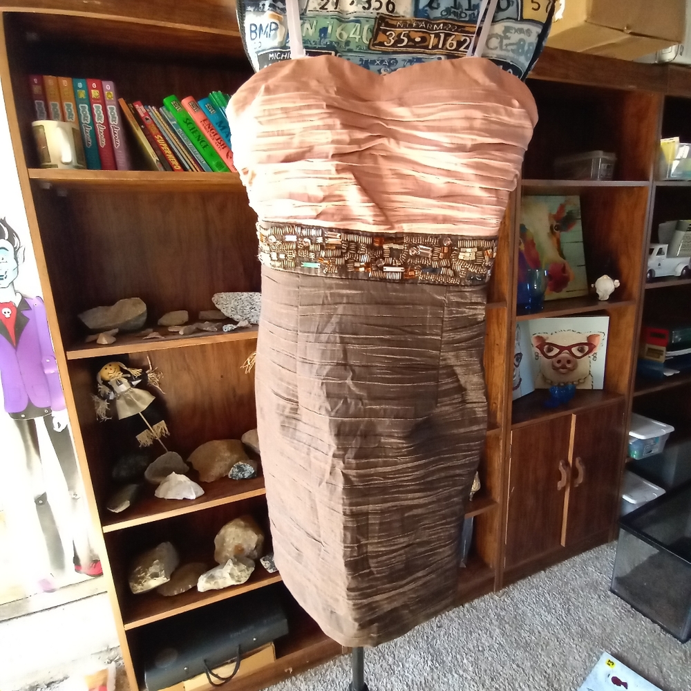 Morgan & Co. Pink and Brown Mini Dress
